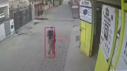 Woman’s Mobile Phone Snatched in Jamshedpur, Search for Suspects Underway