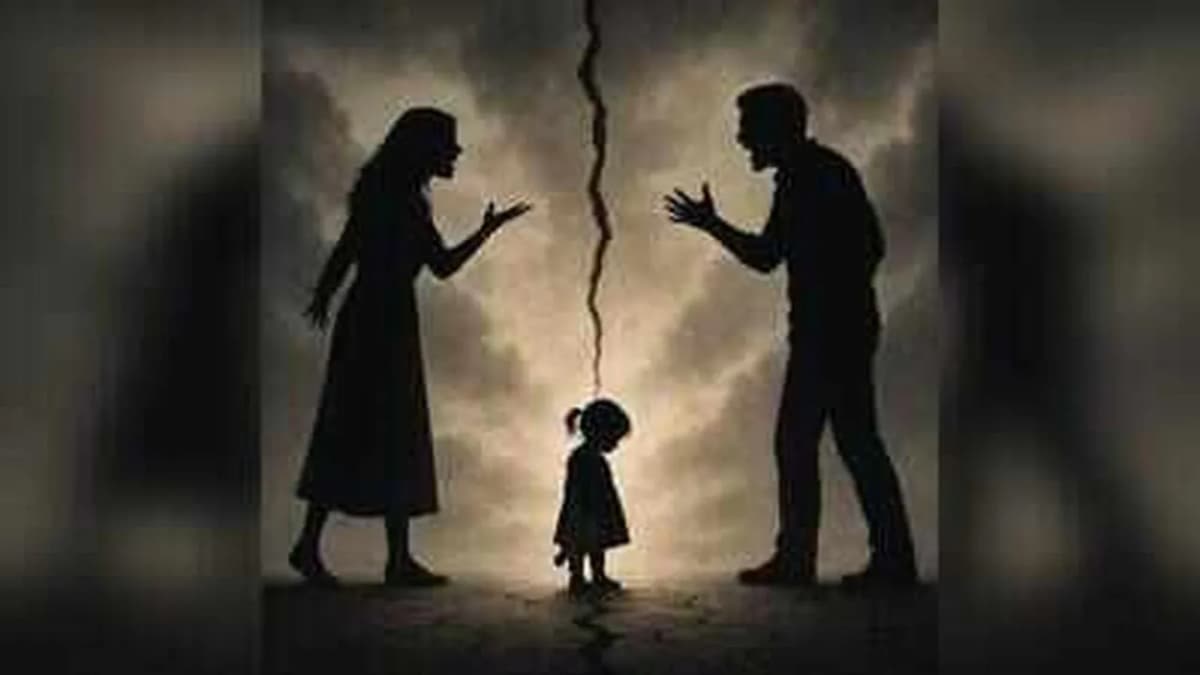 Surat Resident Files Petition in Gujarat High Court for Daughter's Citizenship