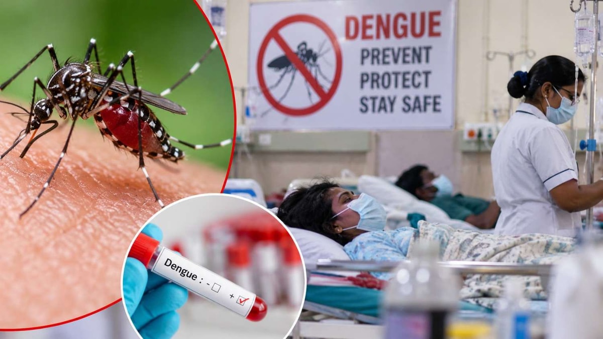 Dengue Cases Surge in Ahmedabad, 496 Reported in September Dengue Cases Surge in Ahmedabad, 496 Reported in September