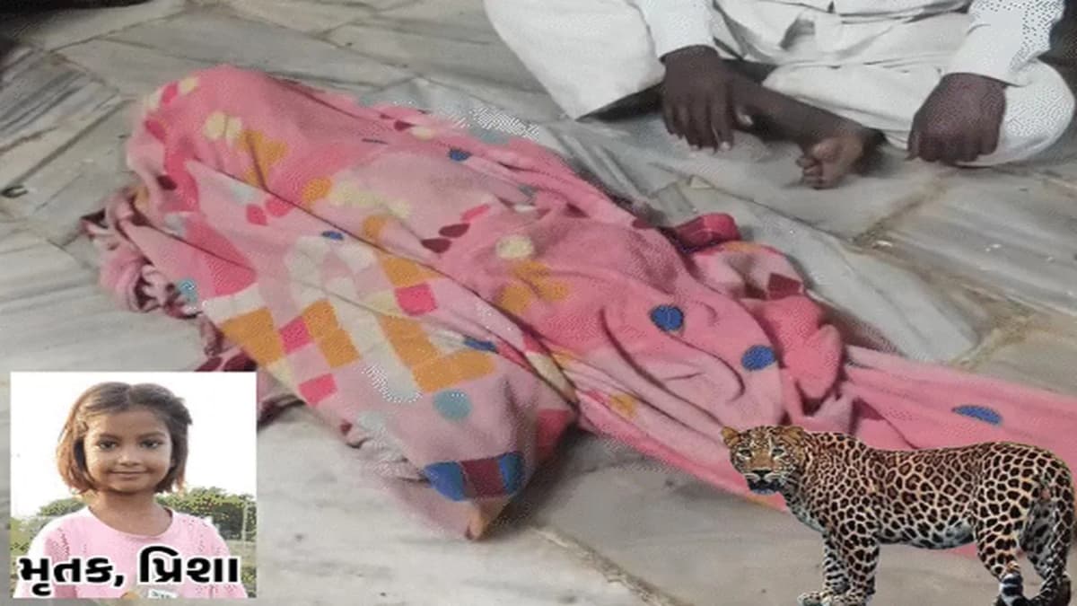 Five-Year-Old Prisha Dies in Leopard Attack in Junagadh Five-Year-Old Prisha Dies in Leopard Attack in Junagadh