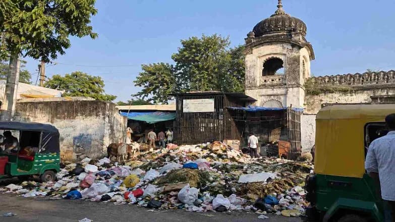 Garbage Piles Behind Vadodara Corporation Office Leave People Troubled Garbage Piles Behind Vadodara Corporation Office Leave People Troubled