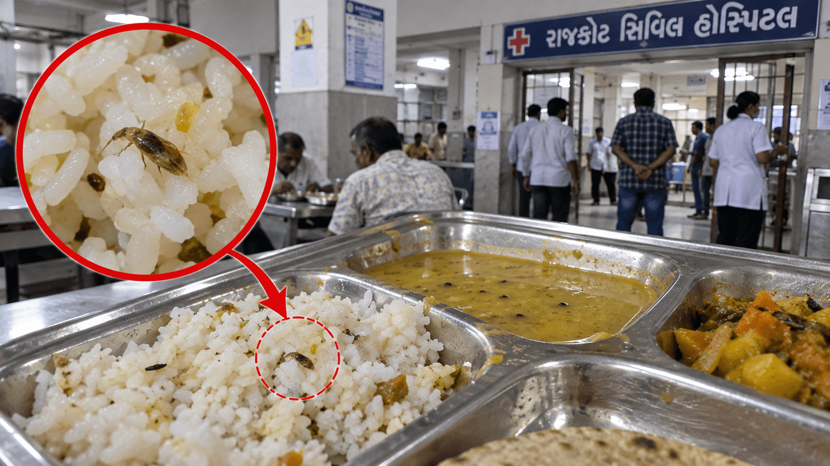Insects Allegedly Found in Rajkot Civil Hospital Food, Probe Ordered Insects Allegedly Found in Rajkot Civil Hospital Food, Probe Ordered