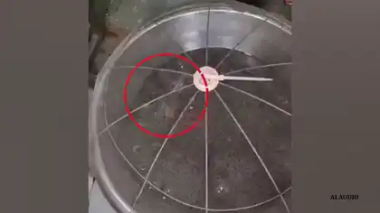 Rat Video From Gulab Jamun Vessel Goes Viral in Bhiwandi, FDA Shuts Shop