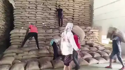 361 Bags of Rice Stolen From Government Warehouse, 11 Arrested 361 Bags of Rice Stolen From Government Warehouse, 11 Arrested