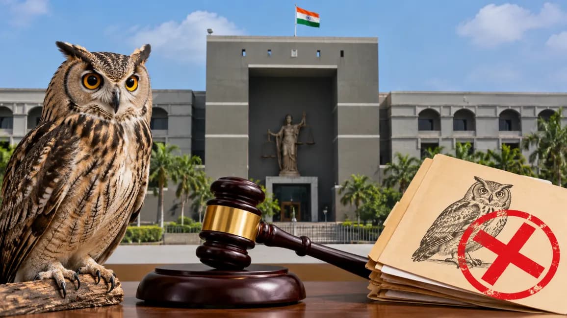 Gujarat High Court Dismisses Owl Possession Case