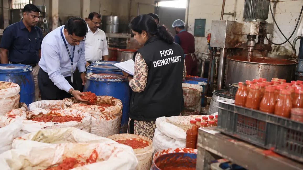 Ahmedabad Food Department Seizes 2,000 Kg Raw Material from Tomato Sauce Unit