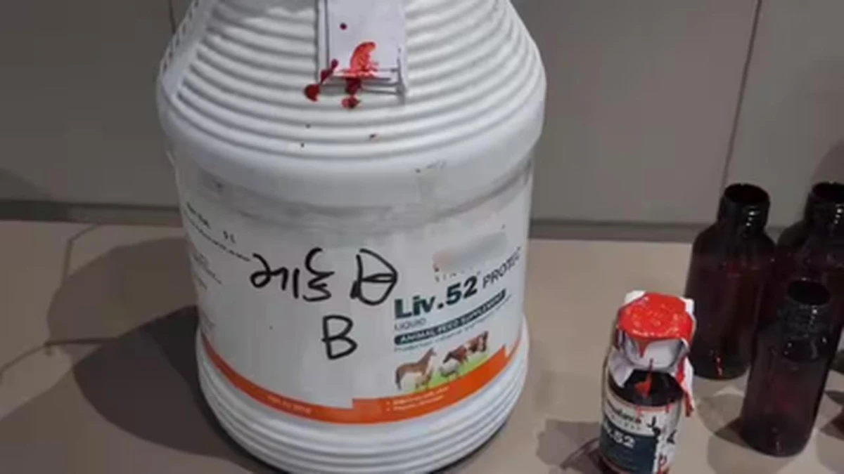 Surat Pharmacist Sold Livestock Liver Tonic as Children's Supplement Surat Pharmacist Sold Livestock Liver Tonic as Children's Supplement