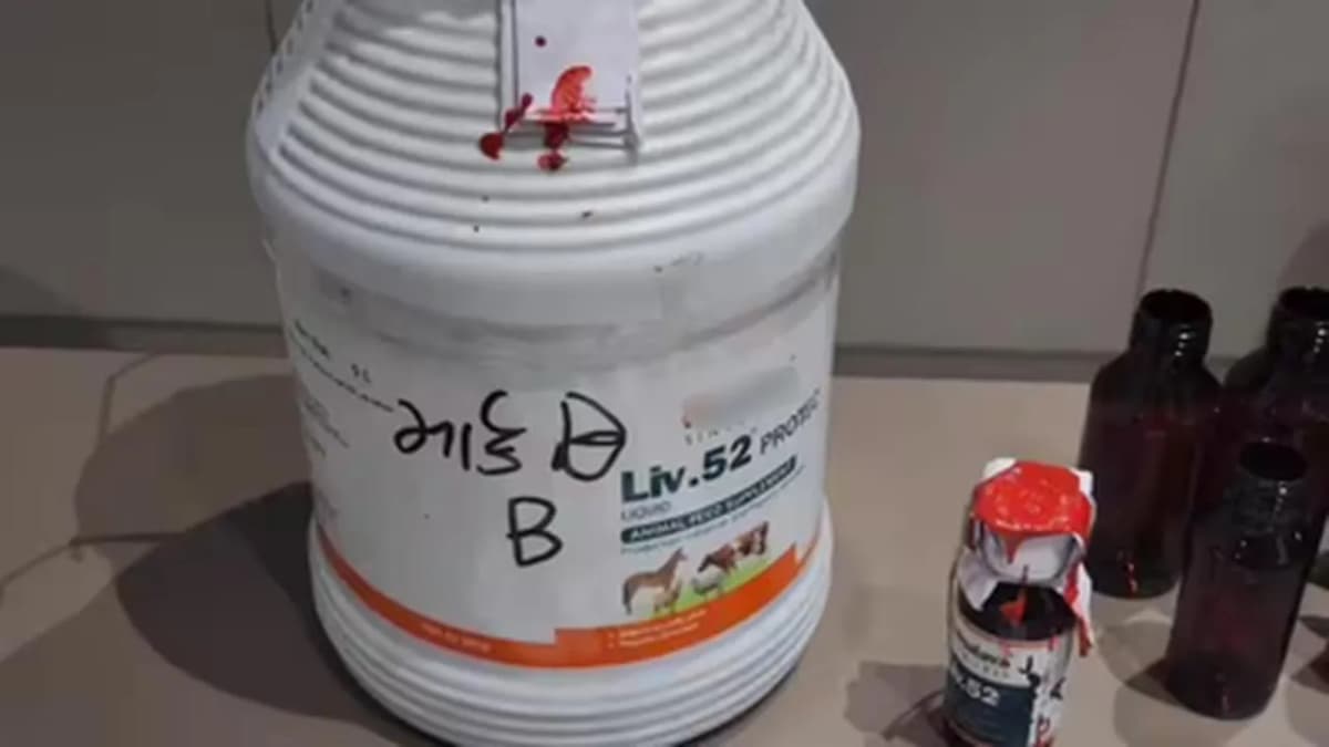 Surat Pharmacist Sold Livestock Liver Tonic as Children's Supplement Surat Pharmacist Sold Livestock Liver Tonic as Children's Supplement